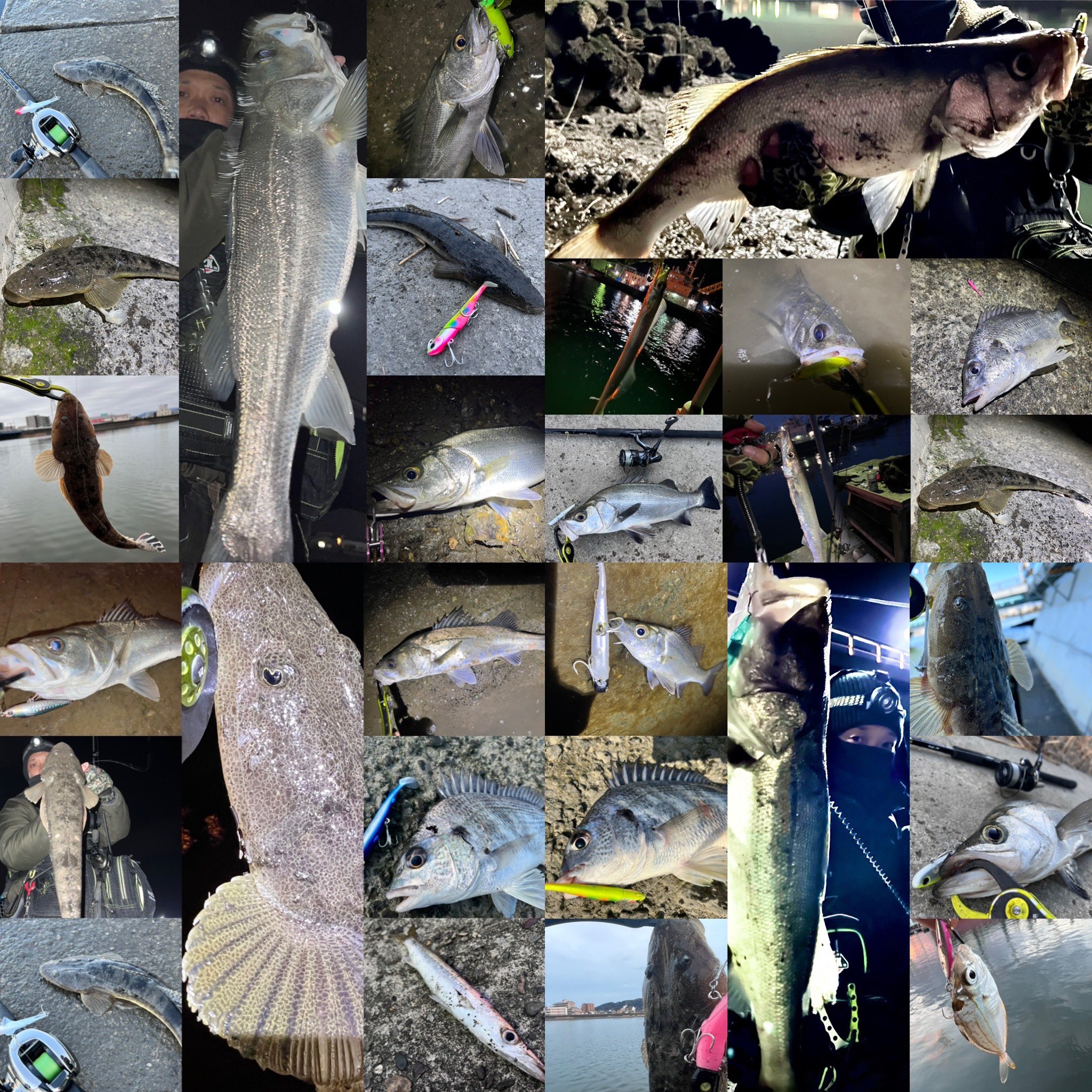 浦戸湾 Twitter Search Twitter