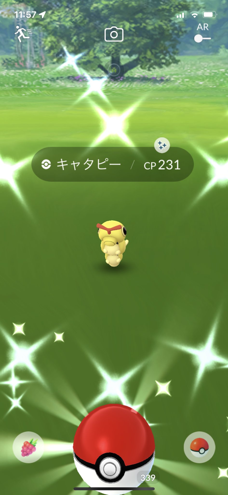 Shamo0811 ポケモンgo Nohinohi2 分けれるものなら いくらでも分けたいのですが Twitter