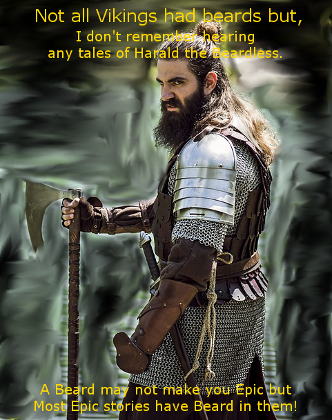 Shawn the Beardserker tweet media
