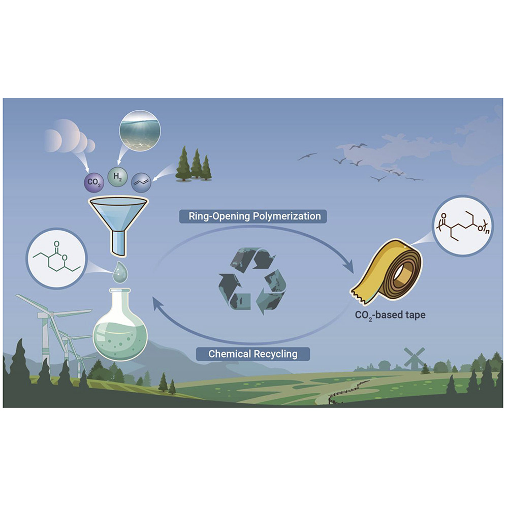 The_InnovationJ's tweet image. Read our new study synthesized chemically recyclable solid polyesters with a high #CO2 content, high MW, and promising adhesive properties. This work provides a brand-new avenue to potential large-scale utilization of CO2 as a main #chemical feedstock. 
doi.org/10.1016/j.xinn…