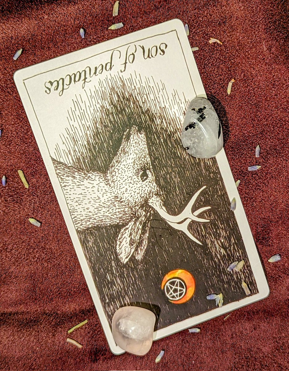 amanda_arcana's tweet photo. Unpredictable.
Materialistic.
Unreliable.
Impatient.
Brash.

We all know someone like this. Don't let their arrogance and childish demeanor stop you from doing what's right. 

Don't let them win. 

🌻❤️

#tarot #tarotreading #tarotreader https://t.co/VnUHd1v7Ah
