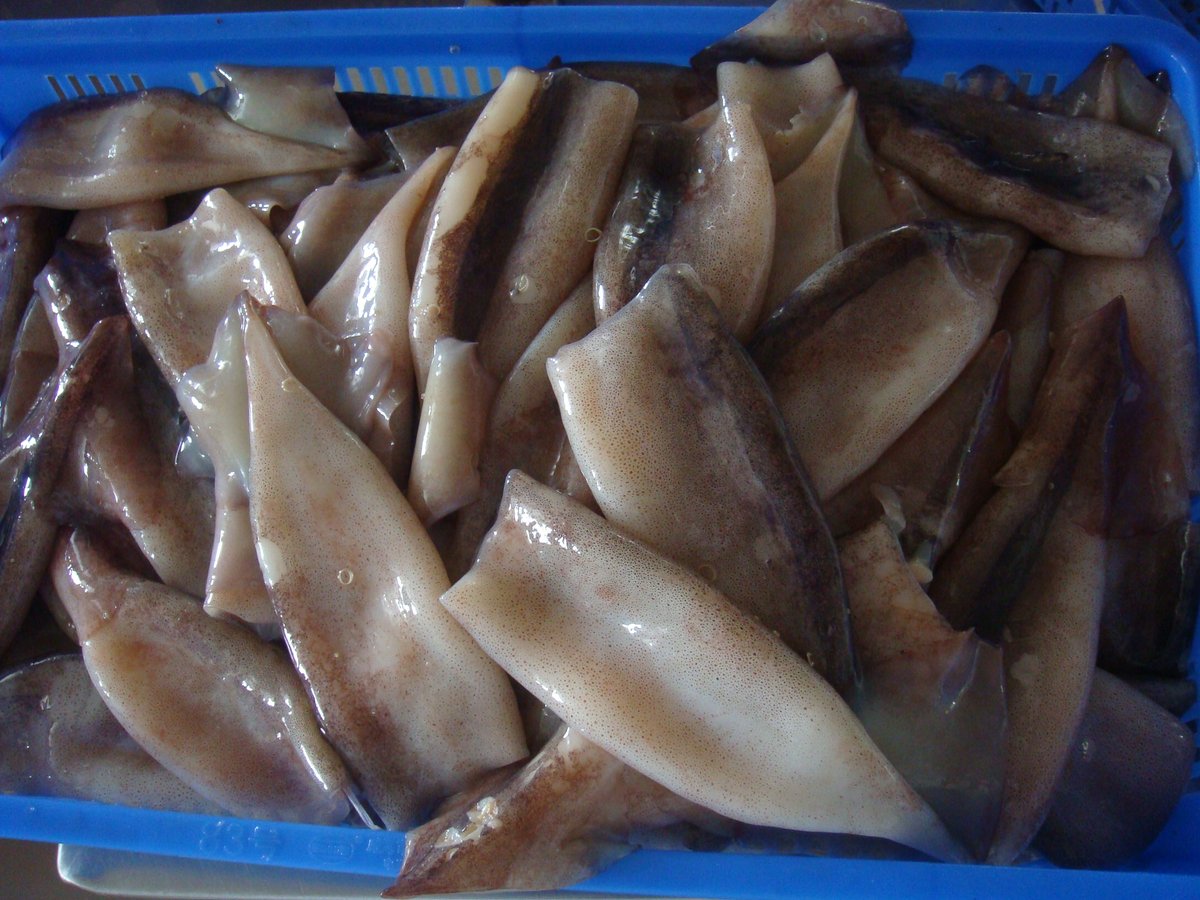 BillionFishFish's tweet photo. Squid tubes, T+T, rings
PM for details
WhatsApp/WeChat：008615100635311
Email: yangjun03@billionfish.com https://t.co/HPXEr1QGnU