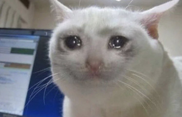 Lexi: “even though he couldn’t be with us tonight, this one’s for you” 
me: 

#Euphoria