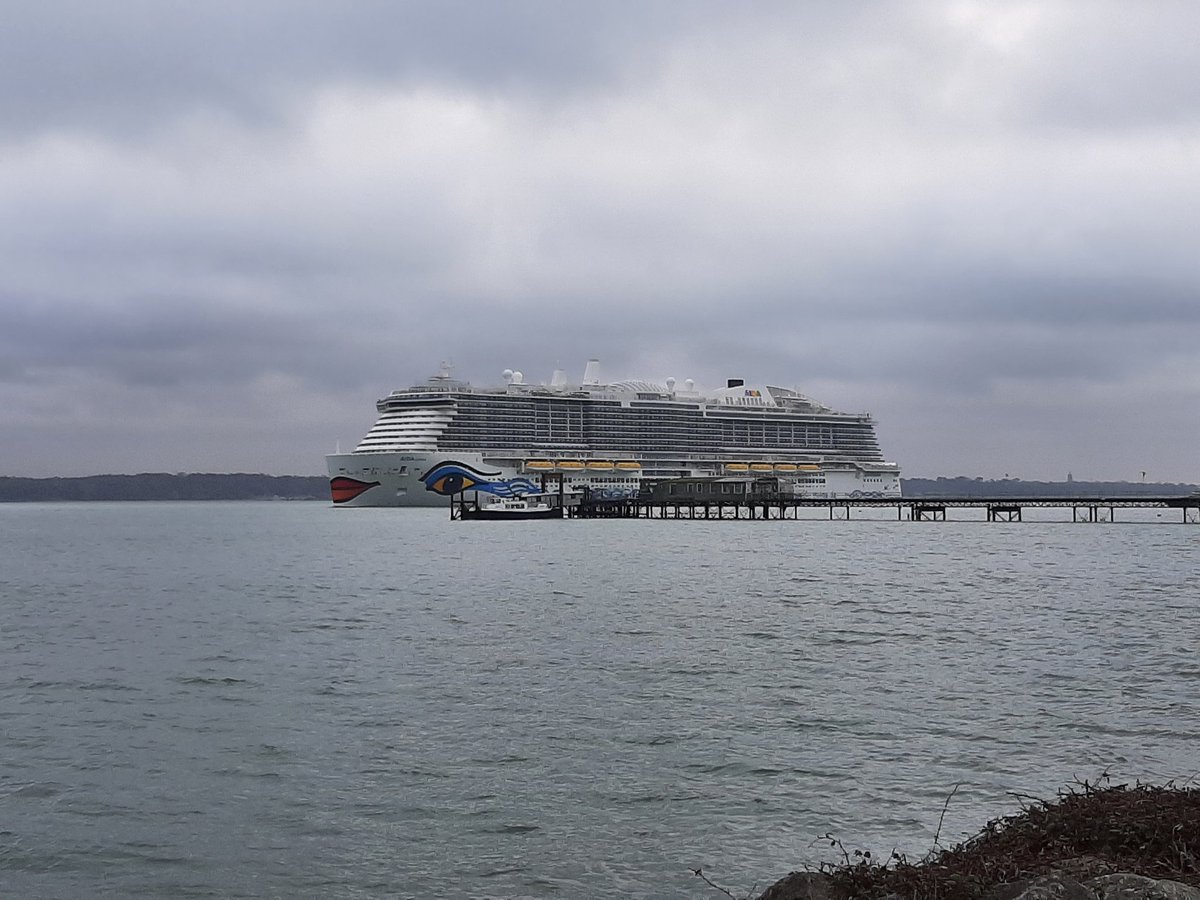 Patricia Dempsey tweet media