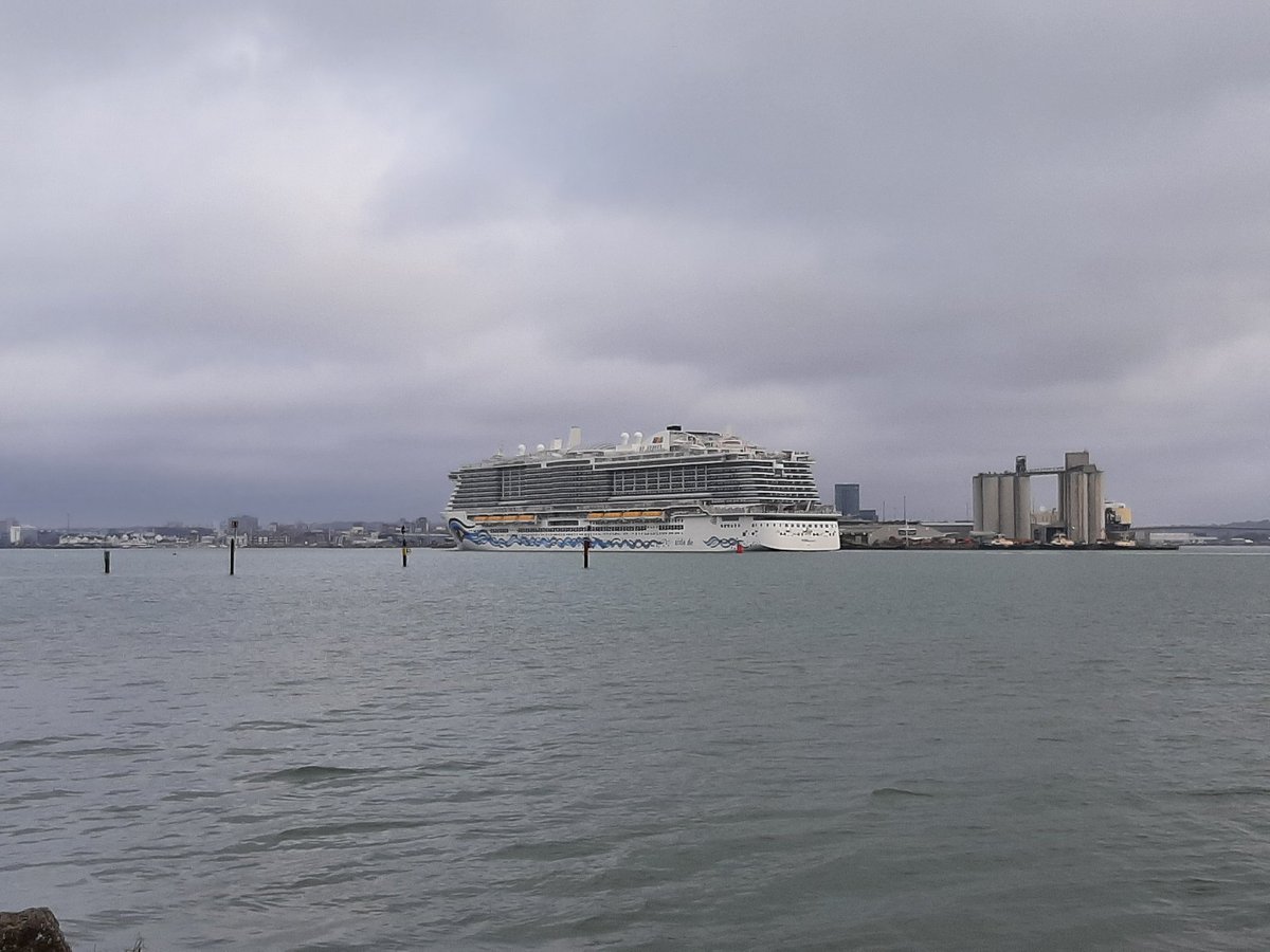 Patricia Dempsey tweet media