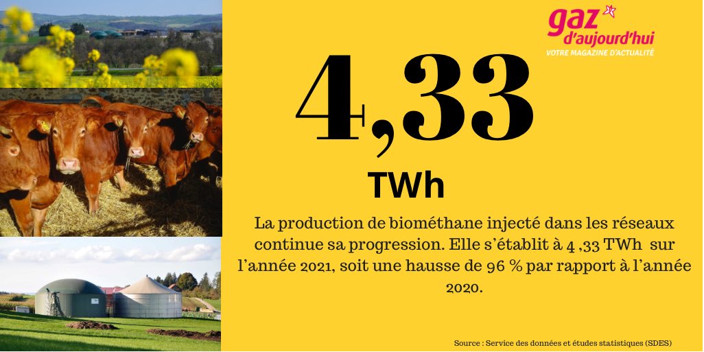[#Data]La production de #biométhane injecté dans les réseaux continue sa progression selon <a href="/Ecologie_Gouv/">Min. Ecologie Territoire Transports Ville Logement</a>. Elle s’établit à 4,33 TWh sur l’année 2021, soit une hausse de 96 % par rapport à l’année 2020. Leur capacité s’élève à 6,4 TWh/an, en progression de 56 % vs 2020.
#Énergie