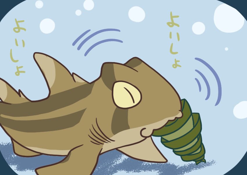 Egps サメ描く奴 イヌザメさんとネコザメさん サメ Shark ネコザメ祭 5 ネコザメ 卵 で検索するとよく出てくる写真 T Co 9ffefn8os0 Twitter