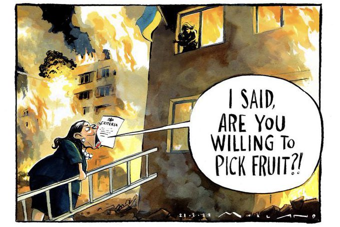 Sorry to say, this is the UK Home Office immigration policy brilliantly shown in one cartoon. Well done <a href="/mortenmorland/">Morten Morland</a>