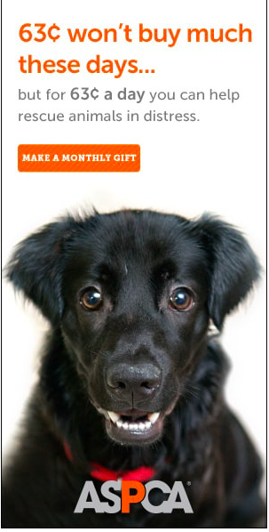 💖I support ASPCA💖, and I hope you do, too💖💖#nadeeavolianova #animalllove  💖💖 https://t.co/1QuqxsbbFV<a href="/tag/nadeeavolianova"class="tags">#nadeeavolianova</a><a href="/tag/animalllove"class="tags"><span>#animalllove</span></a>