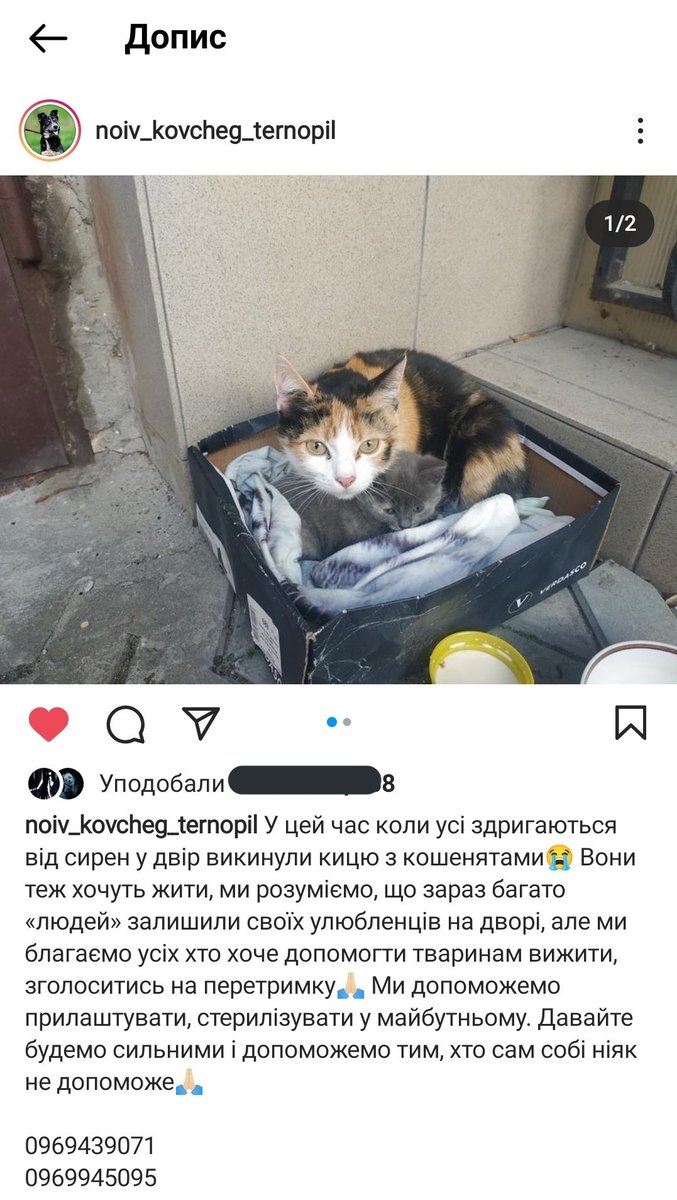 kkimstaa's tweet photo. 📌 ТЕРНОПІЛЬ
рт будь ласка https://t.co/SzfV9U7twB