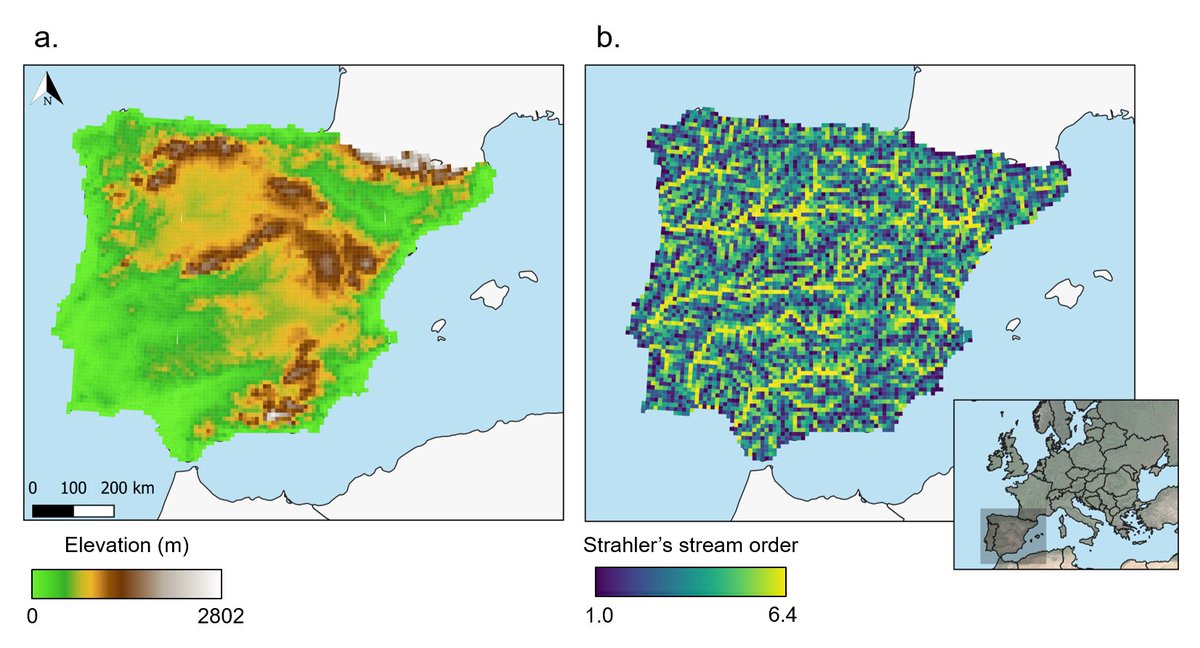 In this study we evaluated the phylogenetic signal and evolutionary relationships among traits of inland fishes 🐟 of the #IberianPeninsula along elevational and longitudinal gradients 🏞️