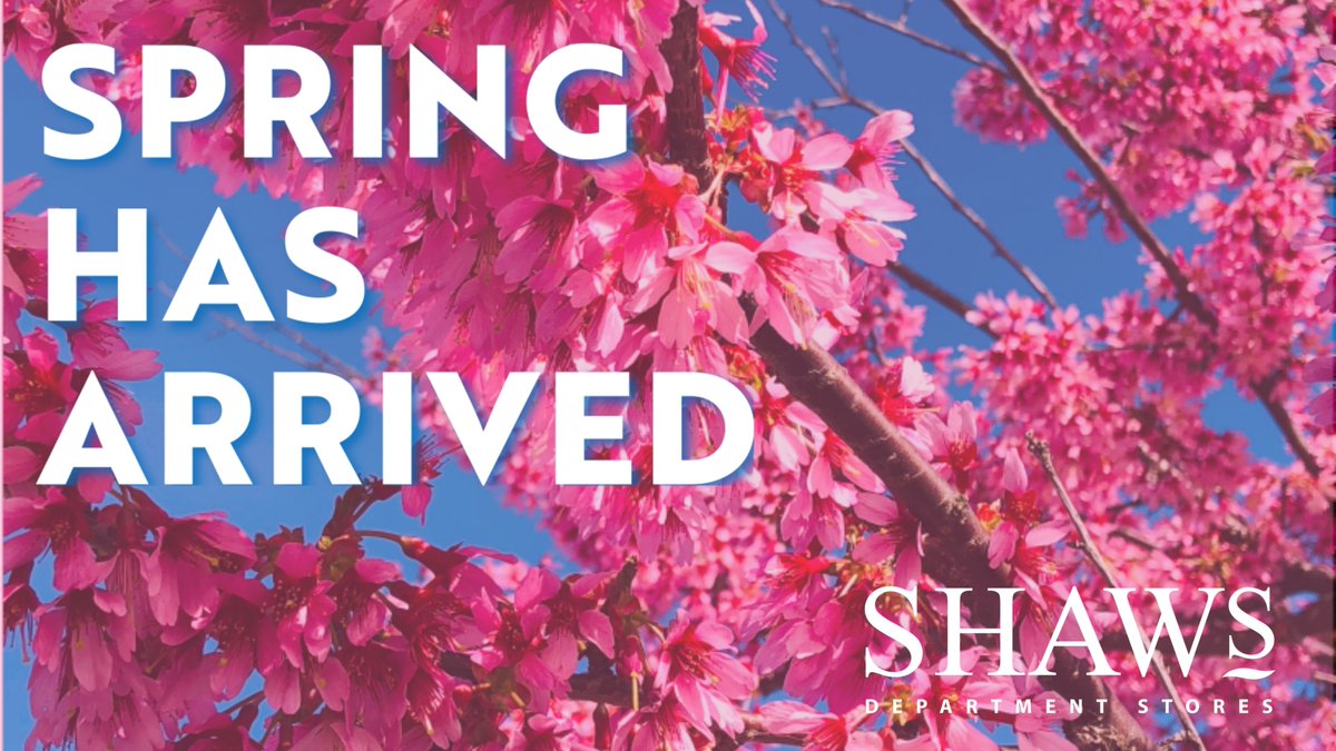 Might not feel like it just yet, but in store Spring has sprung.
#newseason
#shawsdepartmentstores