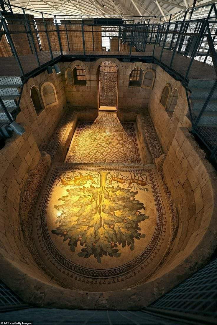 DrNWillburger's tweet photo. For #MosaicMonday a glimpse into Hisham’s palace in the West Bank city of Jericho with it's marvellous early islamic mosaics: 38 intricate panels depict geometric and floral patterns as well as a 'tree of life'. Dating 8th century AD.

Photo: https://t.co/UA8M5XzGVx https://t.co/q7iDBkMCGg