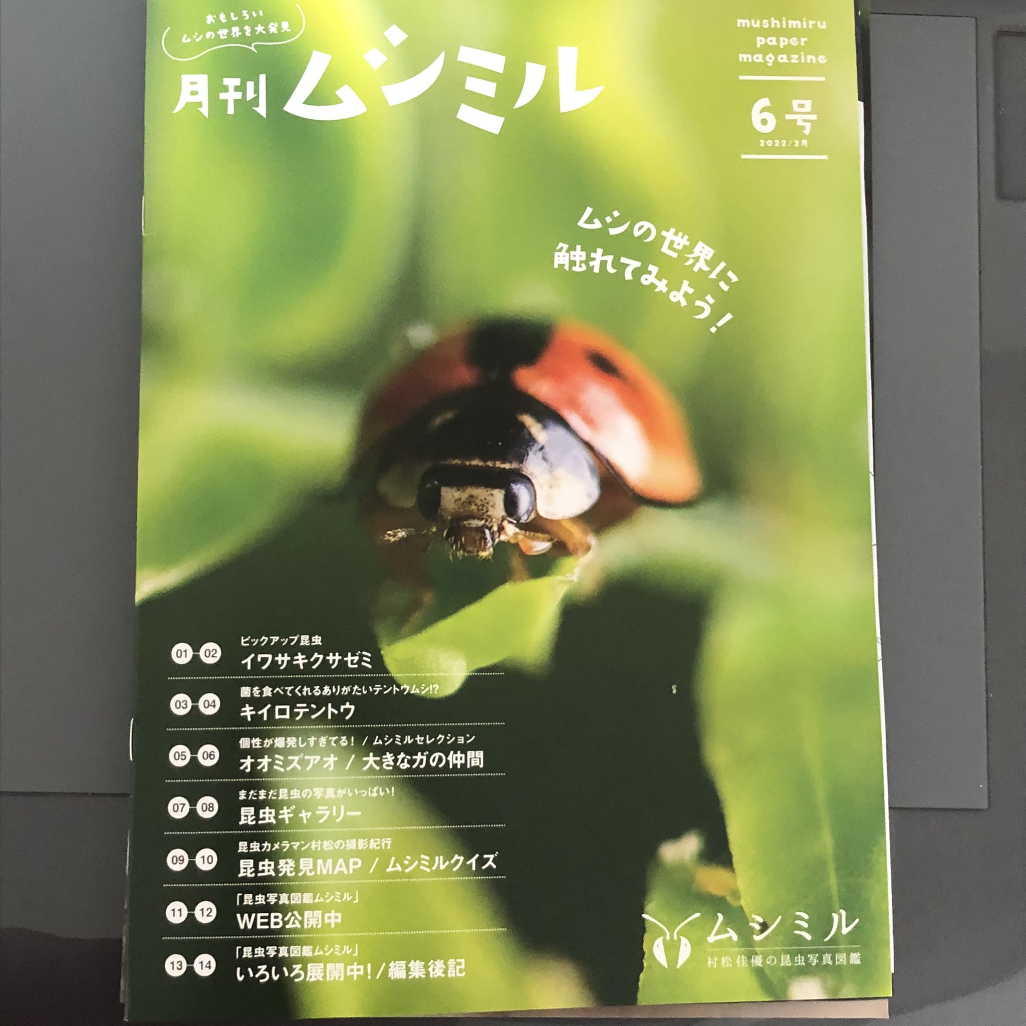 ムシミル 村松佳優 Webの昆虫写真図鑑 月刊ムシミル発行 Insect Design Twitter