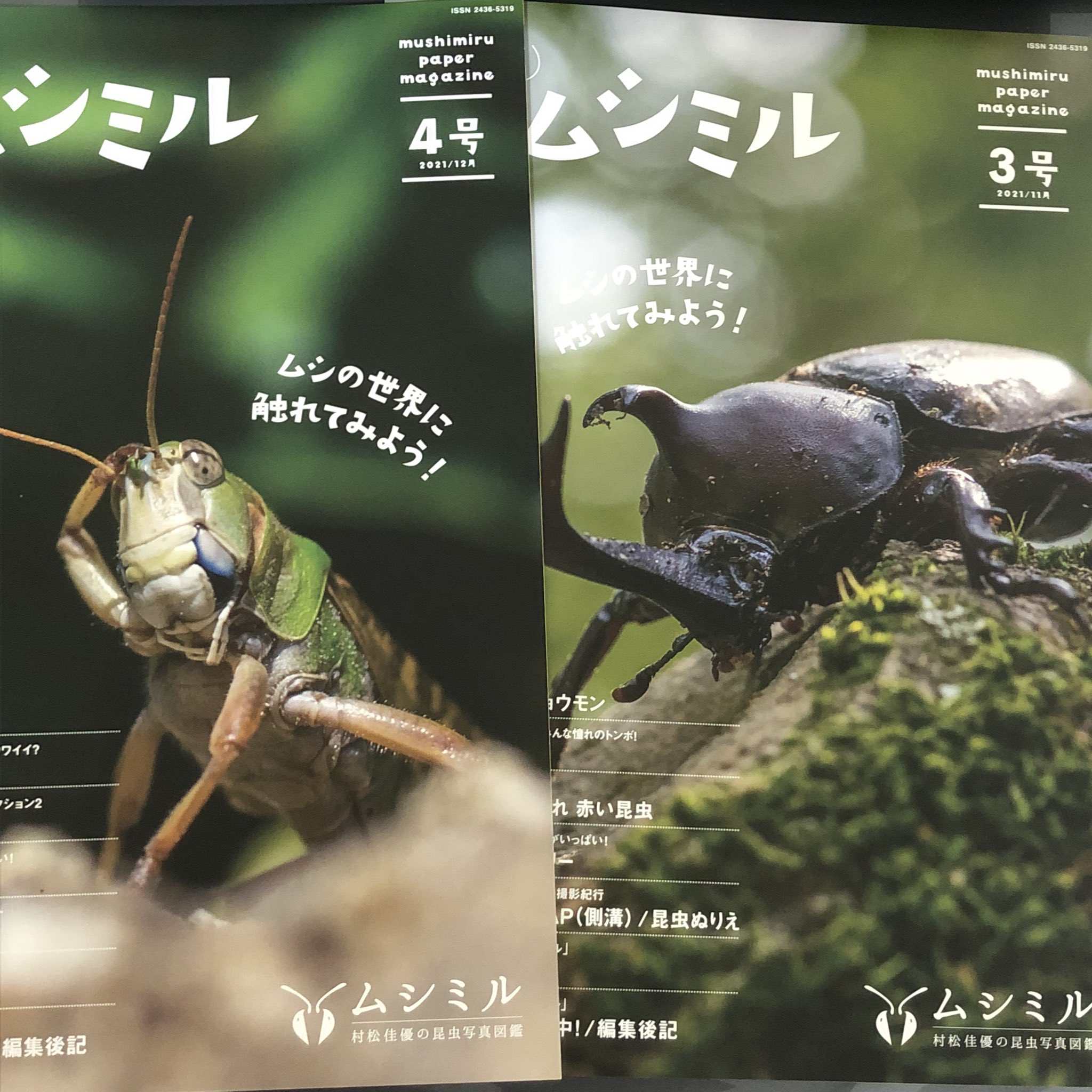 ムシミル 村松佳優 Webの昆虫写真図鑑 月刊ムシミル発行 Insect Design Twitter