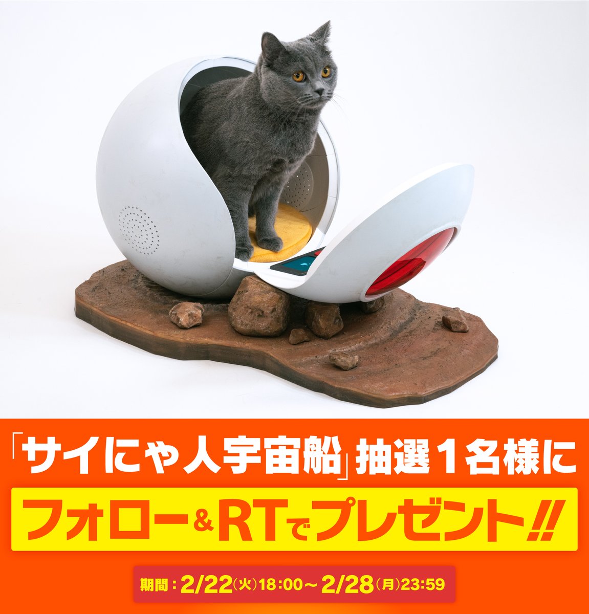 ＼本日まで／ #猫の日 を記念して「サイにゃ人宇宙船」を1名様にプレゼント！ 参加方法は・・・ ①@DB_official_jpをフォローする ② 本投稿をリツイート ※応募期間：2/22（火）18:00〜2/28（月）23:59まで