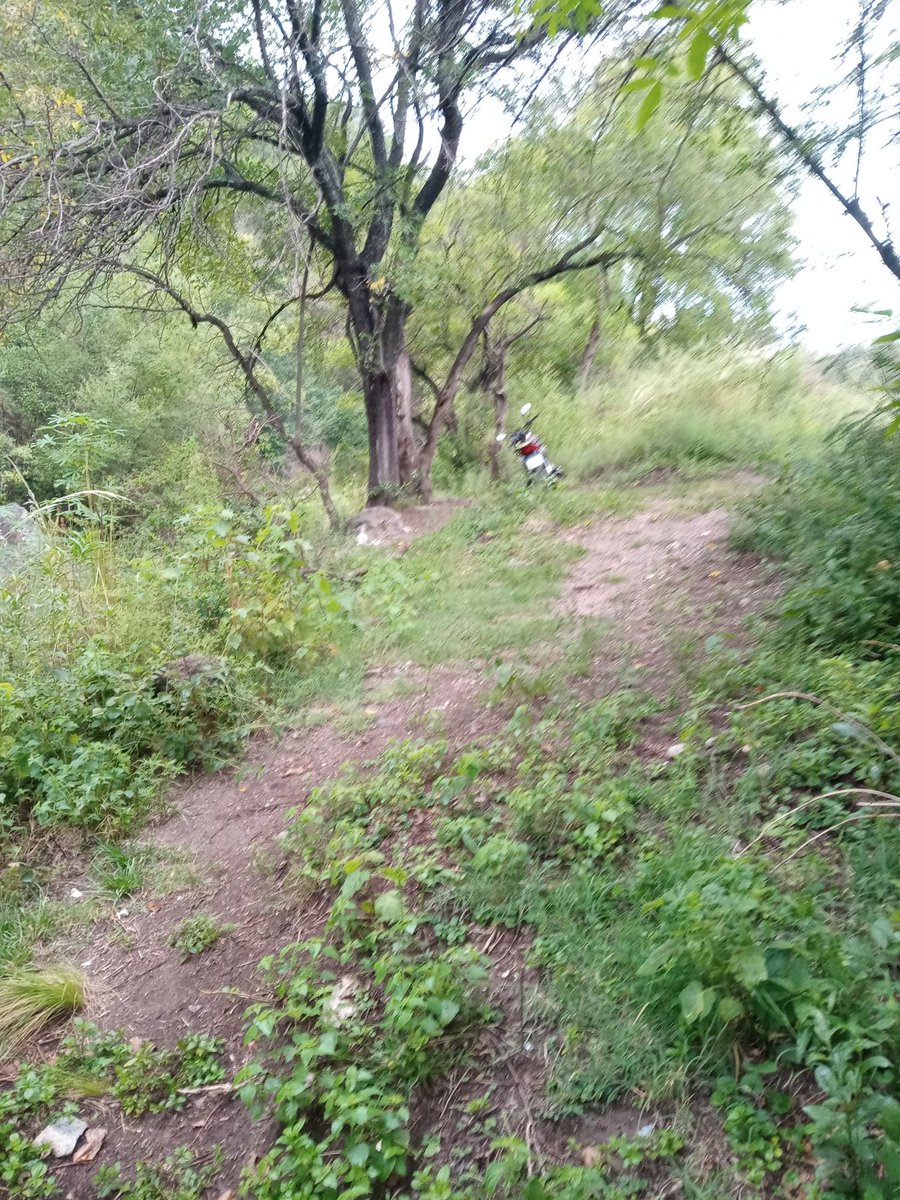 Hoy pintaron cositas al aire libre, likes y rt para que suba videito