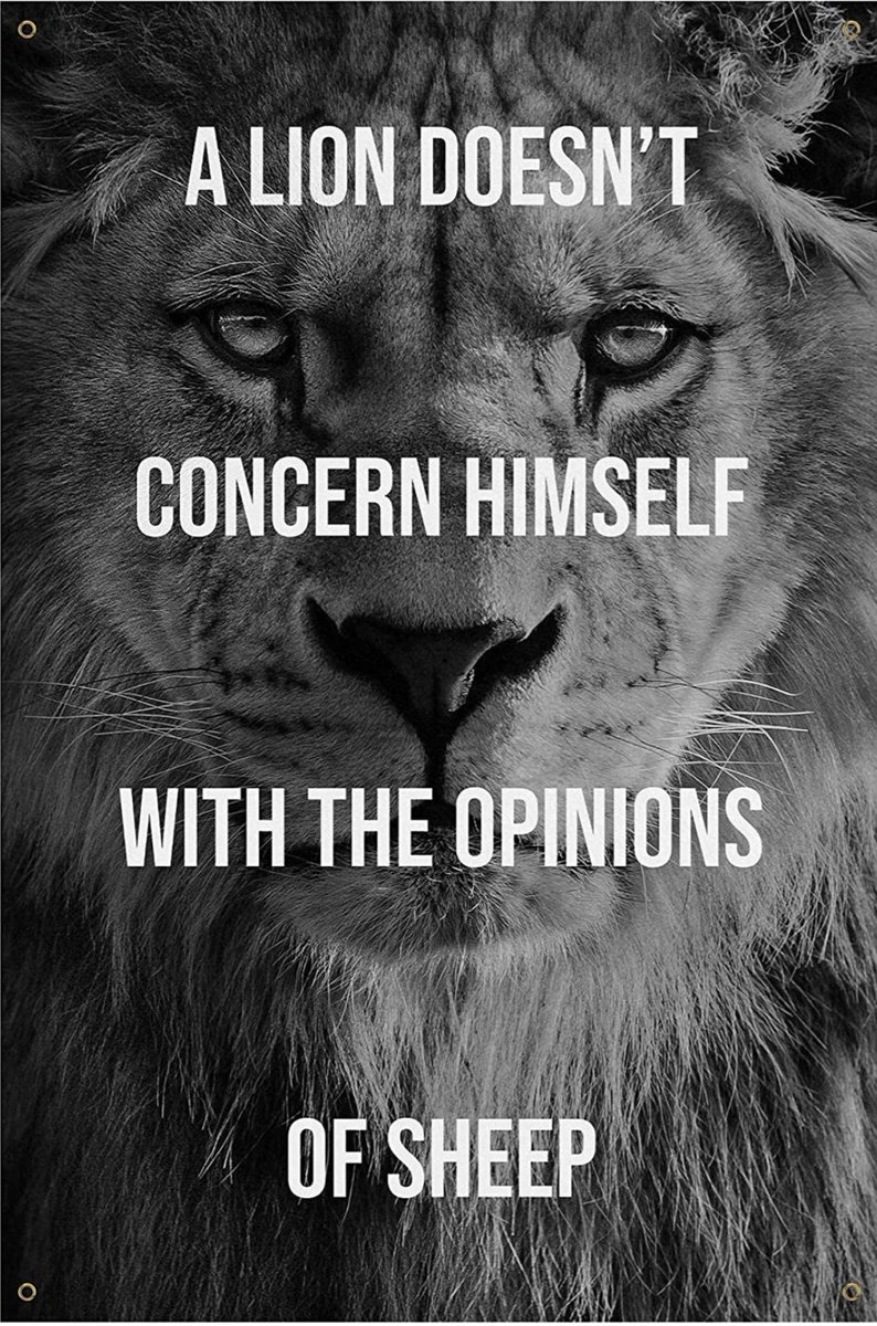 Coach Derek tweet media