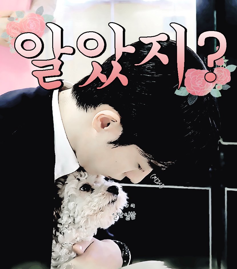 백이진 이/가 조련 스킬을 발휘했다.
효과는 대단했다!