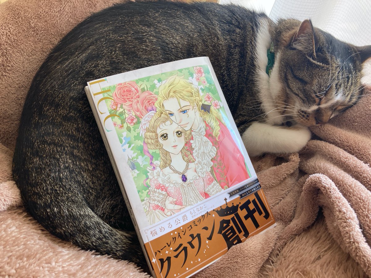 もとなおこ Moto N Twitter もとなおこ Moto N Twitter