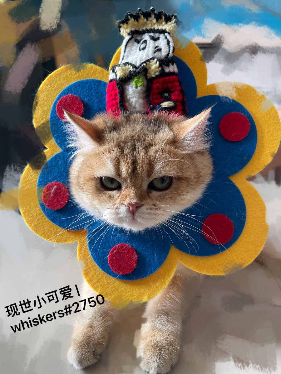 wp70494801's tweet photo. @Whiskers_NFT The king gave orders to his subordinates to capture the cat country. The dinosaur warriors took the lead in expedition. With a lot of hard work, they defeated the cat country warriors at that time and used them as their own mounts.#wihiskers https://t.co/CwN1ycg1HZ