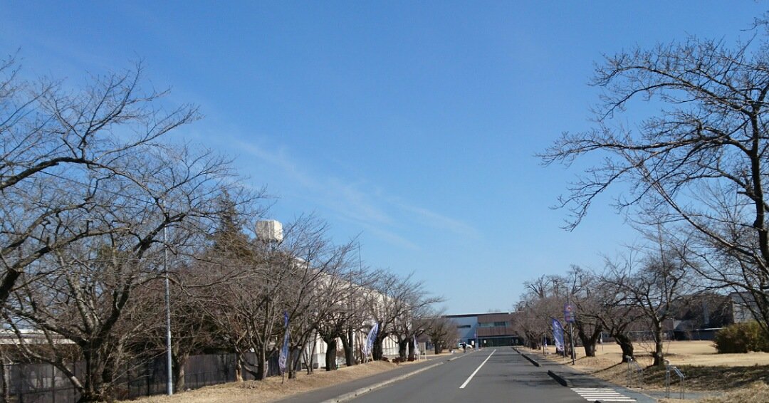 永遠の0 ロケ地 撮影秘話 最新情報まとめ みんなの評価 レビューが見れる ナウティスモーション