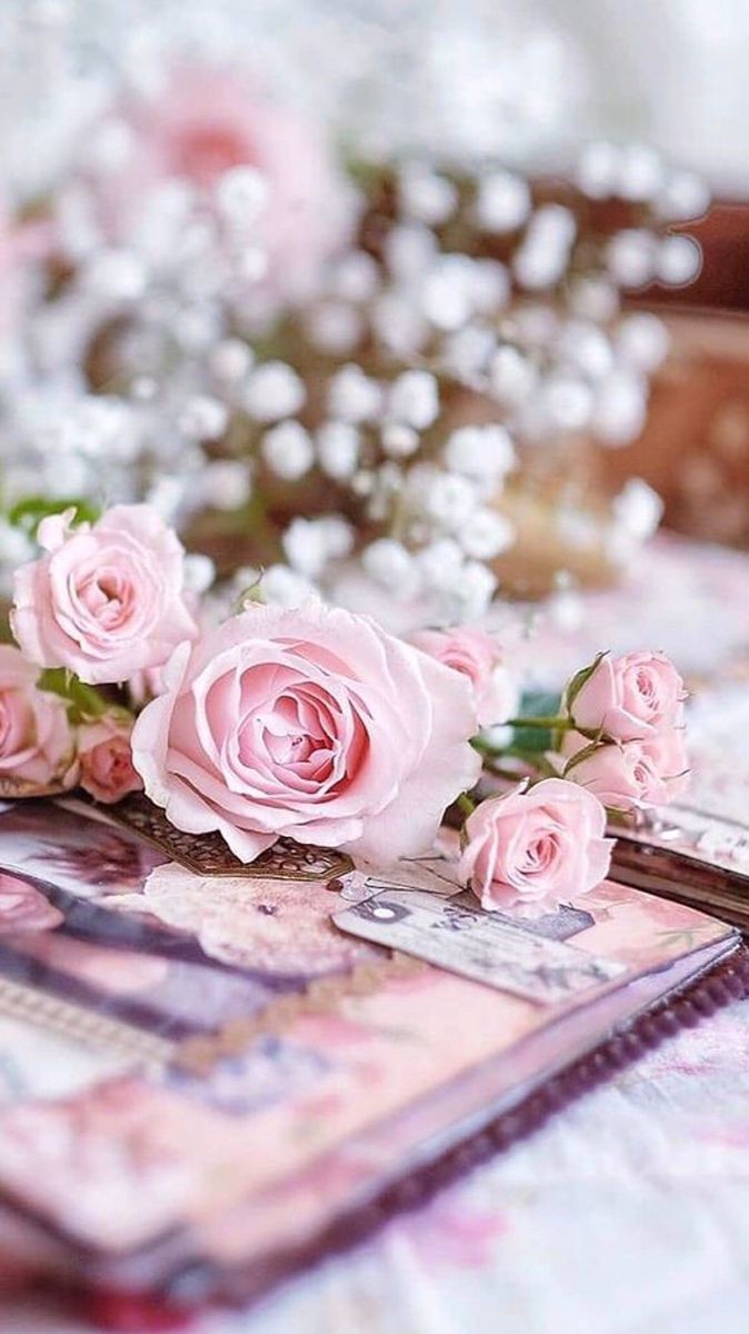 Have a great day
Happy Monday