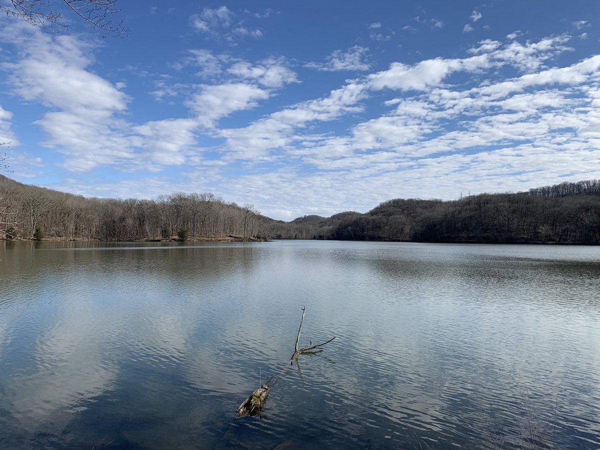 Took a stroll around Radnor lake today.
