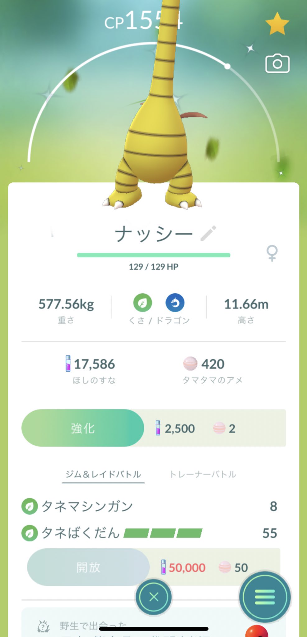 Naoki 万葉までガチャ禁 アローラナッシー確保 ポケモンgo Plusにて捕獲されてたからラッキー アローラナッシー色違い ポケモンgo T Co I2lltmgolc Twitter