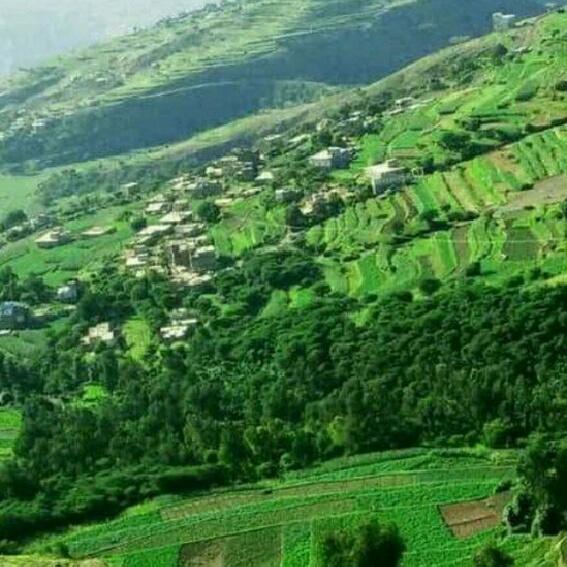 #صورة_ملف_شخصي_جديدة