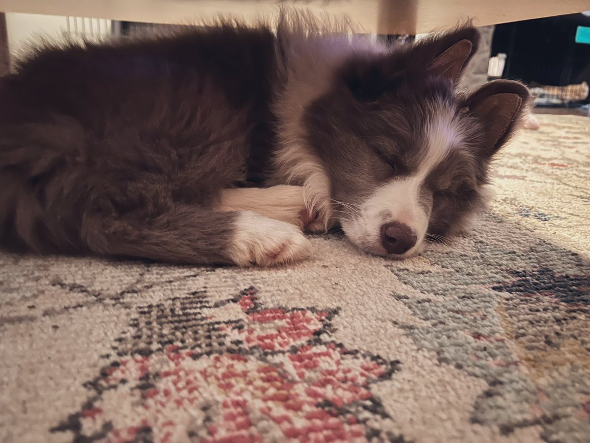 Sleepy Bean💜