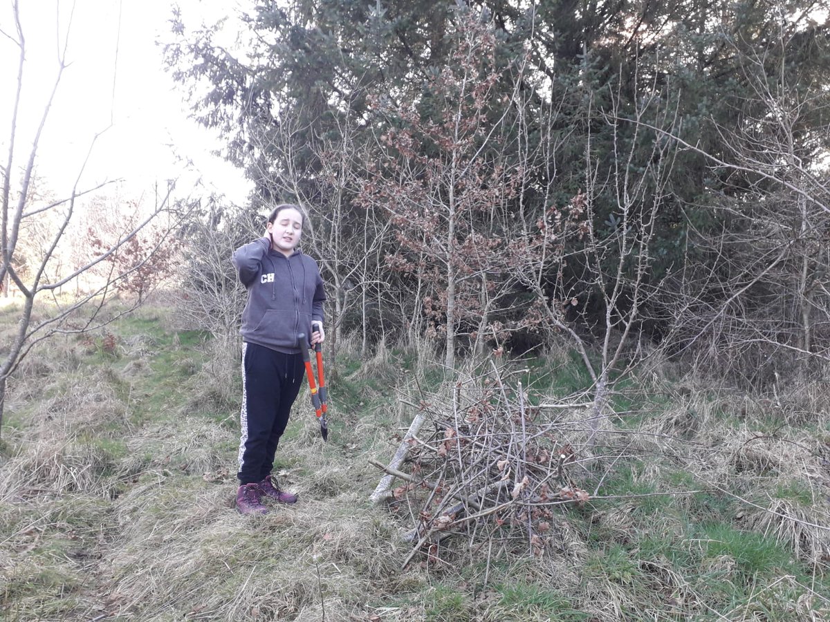 More development of #FruitAndNutVillage #DruidsHeath. Pruning work taking place on the orchard in #WalkersHeathPark yesterday.