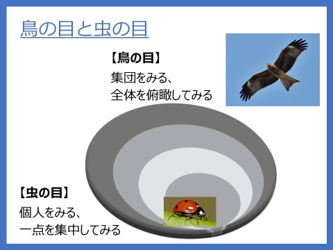 垰本泰隆 Ytaomoto Twitter