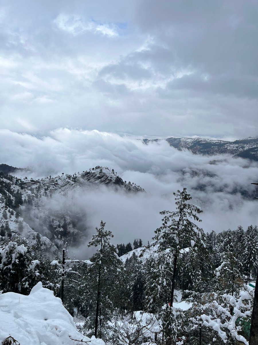 himtraveltime's tweet photo. Beauty of #himalayas #chail https://t.co/4jAbghGcYU