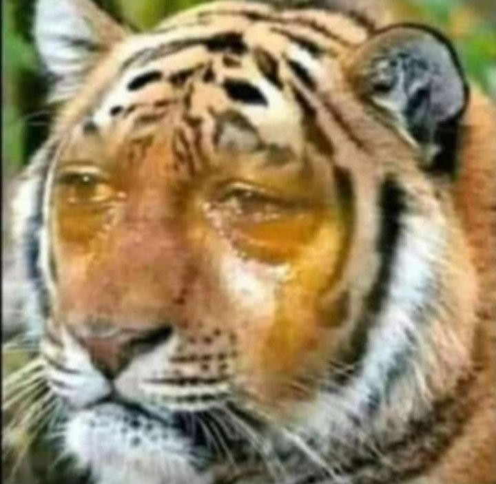 MahilaSyeda's tweet photo. A rare picture of LLB students 😔🎓 https://t.co/jGj6fb7g98