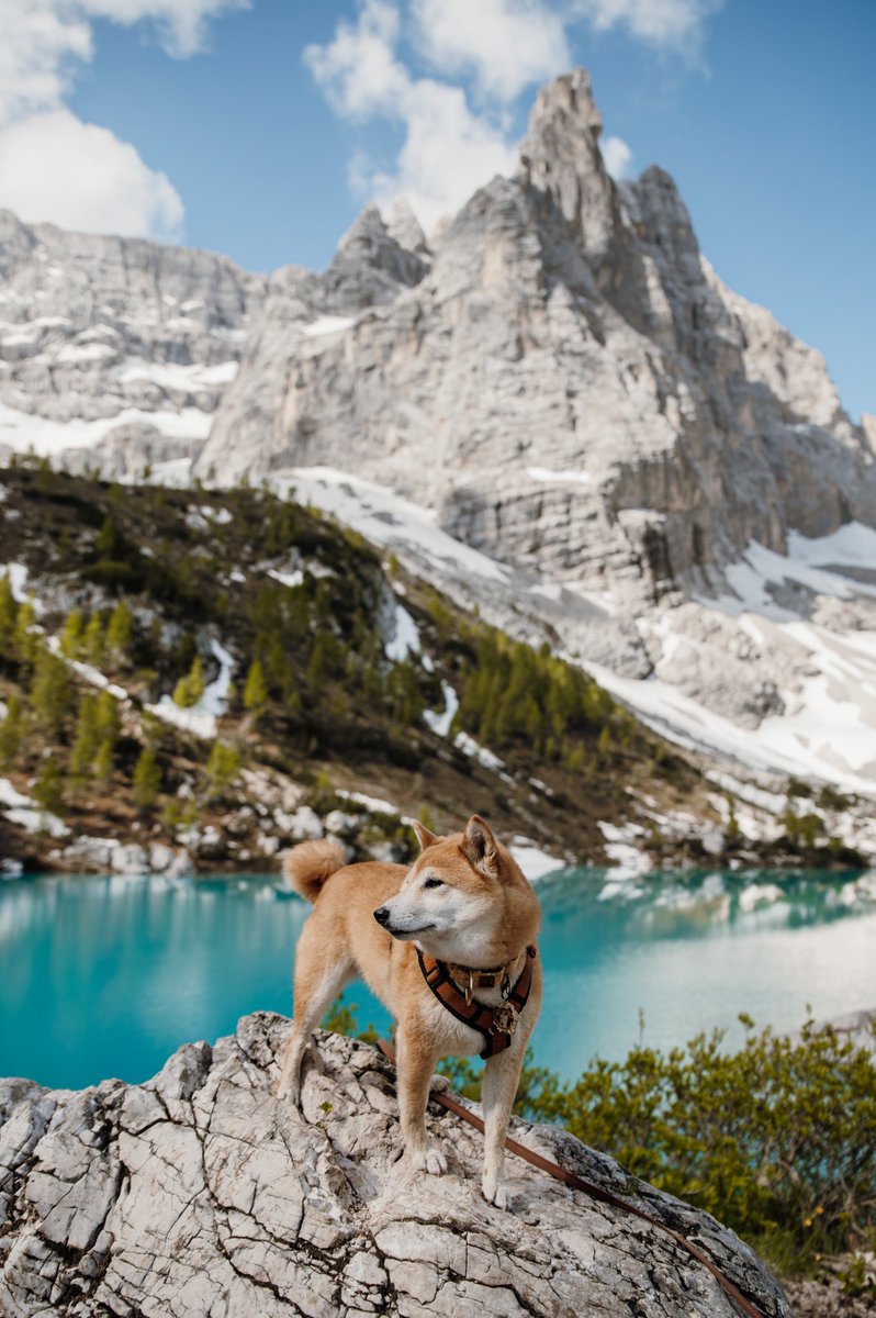 wildwithnoa tweet media