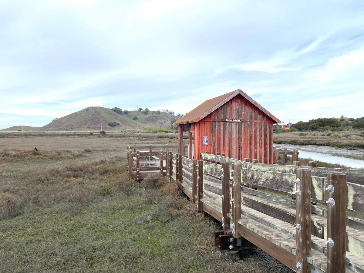 picnic shelter