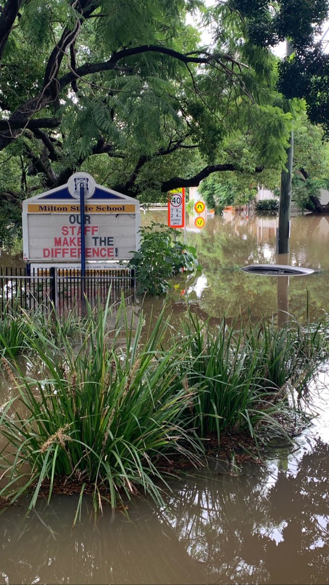 fotherchops's tweet photo. Updated photos from today.  The water hasn’t dropped at all in Auchenflower / Milton / Rosalie even though the brisbane river had dropped - but I think that is the tidal valve at work.  Hopefully no further rises tonight or tomorrow. #qldfloods #qldflood #brisbanefloods https://t.co/83sLebZBan