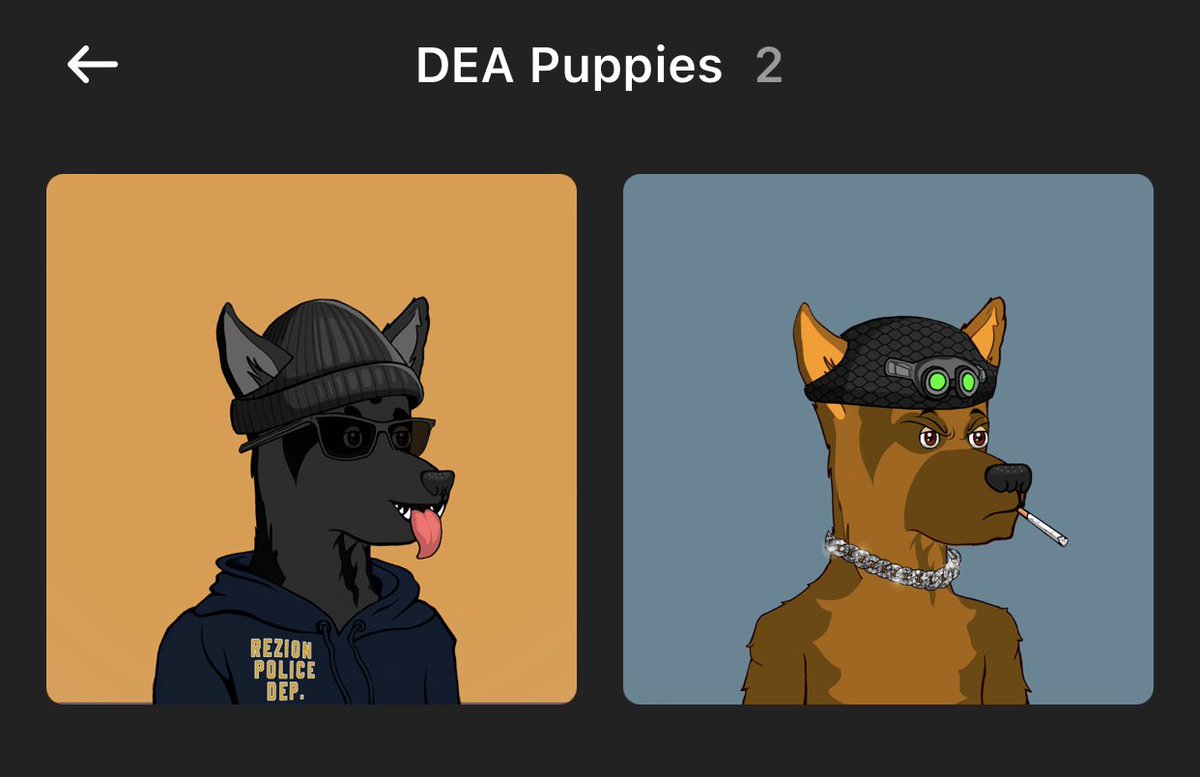 qismyeth_'s tweet photo. My puppies have arrived! Thanks team @dea_dogs 😍🔥🔥🔥
#deadogs #catcartel #SolanaNFTs #solana #ZION #NFTs #NFTCollection https://t.co/ShFehLryDG