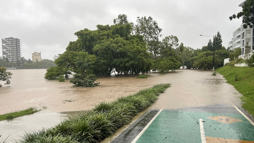 ⚠️ STAY OUT OF FLOODWATERS ⚠️ Floodwater can wash disease-causing microorganisms (germs) and pollutants into waterways, which can cause illness. It is extremely important to avoid recreation in or near stormwater drains. More info: lnkd.in/g6U6yd2 Photo: WillyWeather
