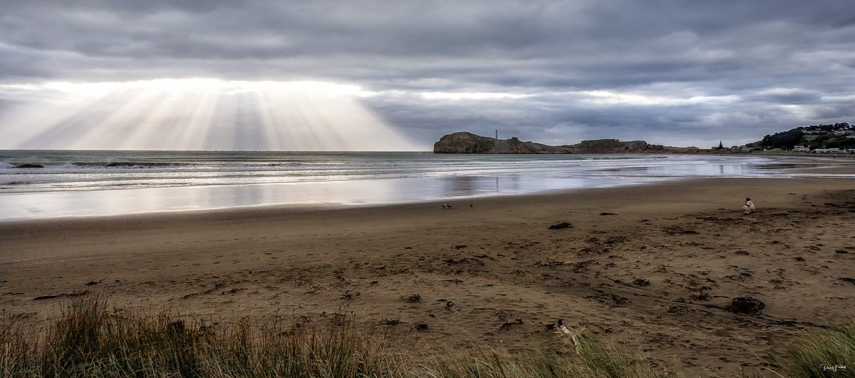 Paul Foxall Photography tweet media
