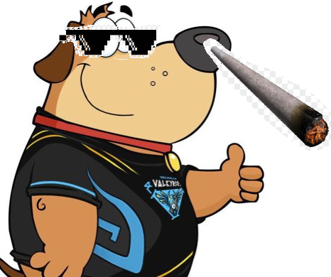 WolpSmite's tweet photo. @SharksSMITE @PlazmaSmite https://t.co/v7cmaphm0p
