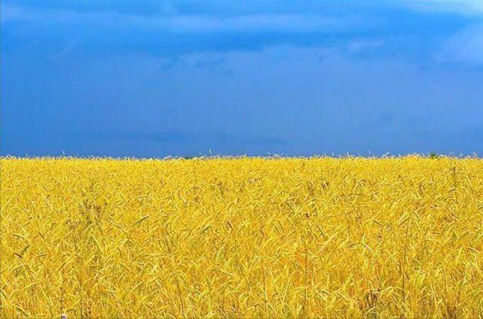 PoliticayModa's tweet image. Me parece preciosa la referencia simbólica de la bandera ucraniana a la naturaleza: el azul del cielo y el dorado de sus campos de trigo #escenografia #protocolo #paz