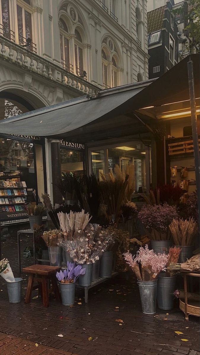 AcademiaDreams's tweet photo. rainy morning ☕ https://t.co/d75iDLYctU