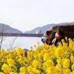 下松市観光協会のツイート画像