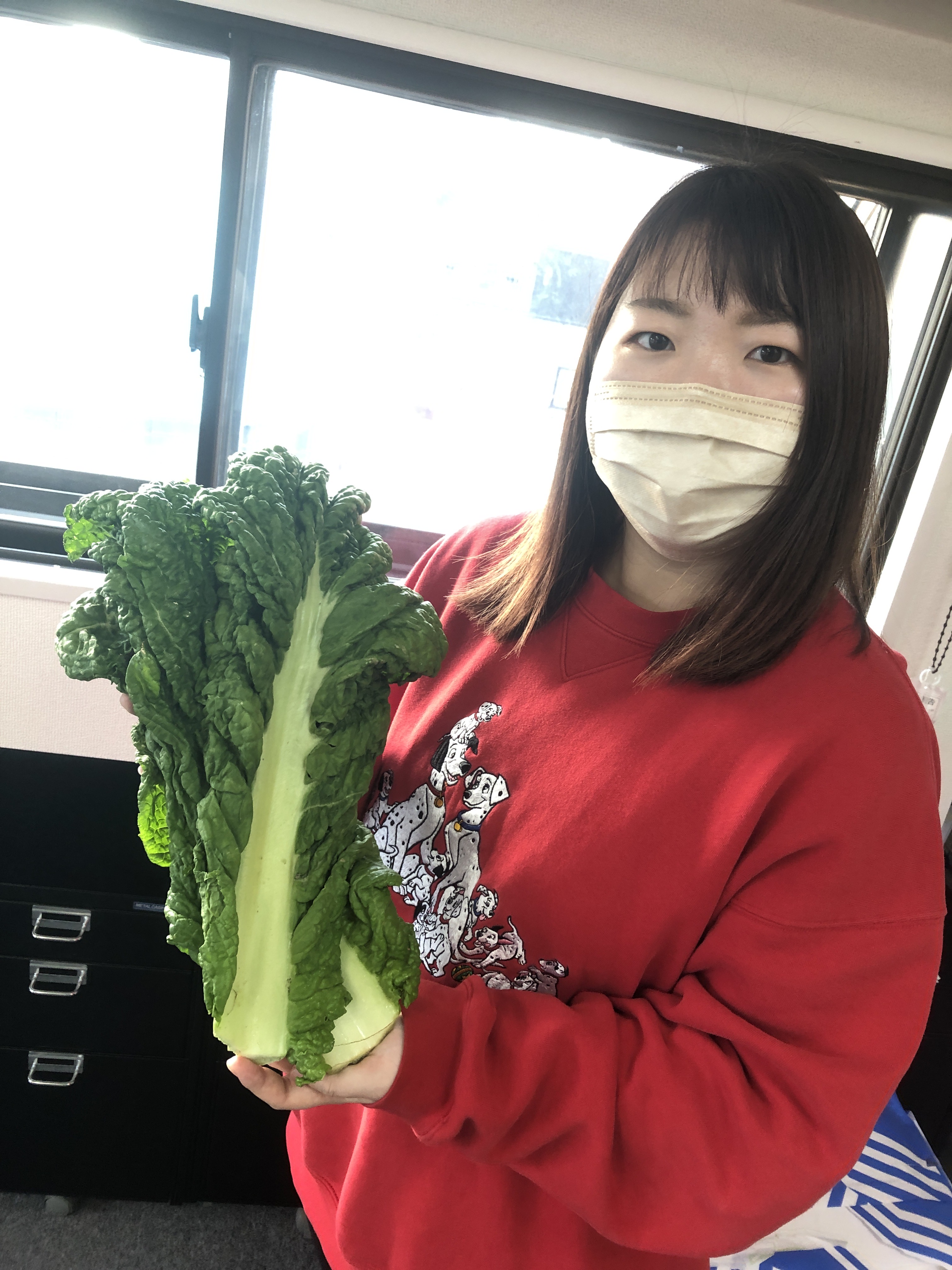 株式会社メディア ワン かつお菜 当社でプロデュースしているyou Tubeチャンネルで かつお菜 を使ったメニューを取り上げたところ 福岡の生産者さんから会社に かつお菜 が届きました 早速 自分の家でも挑戦してみたいと思います 作り方などは