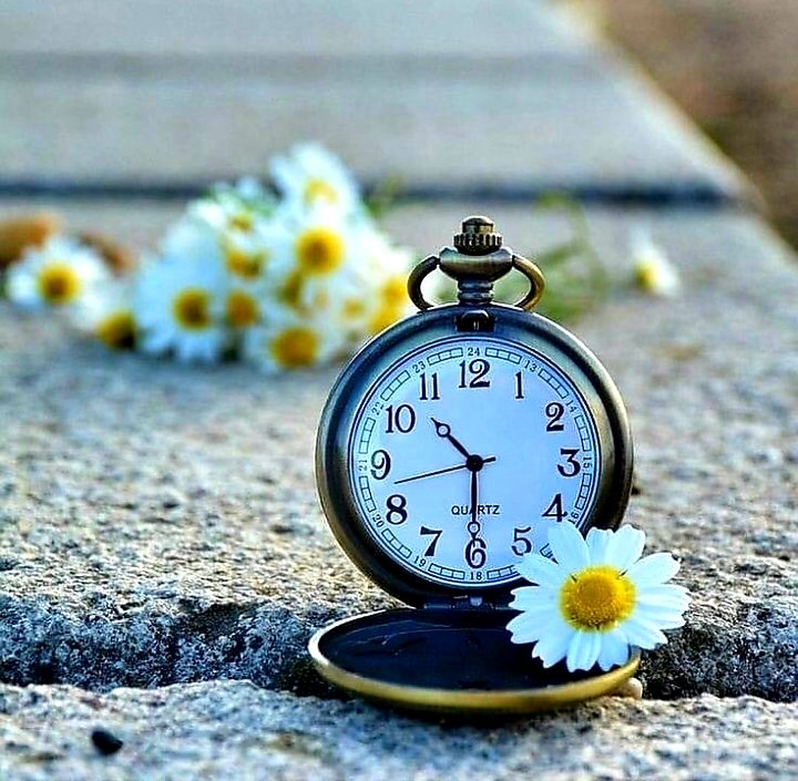 Günaydın mutlu haftalar 🌼