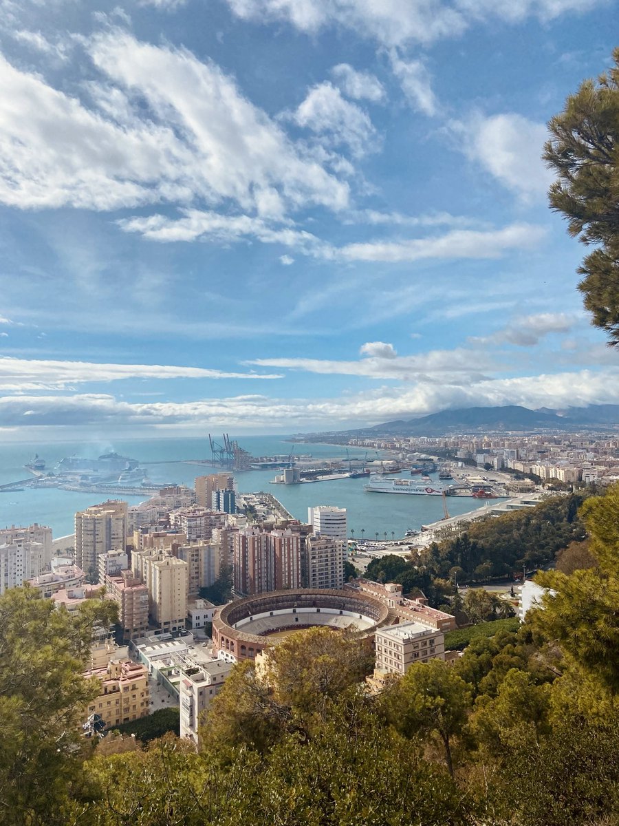 ialvarez95's tweet image. Andalucía es una tierra que siempre tiene las puertas abiertas. Andaluz es todo el que quiere serlo. 

¡Feliz día de Andalucía!