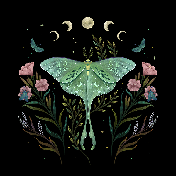 Lea Yunk tweet media