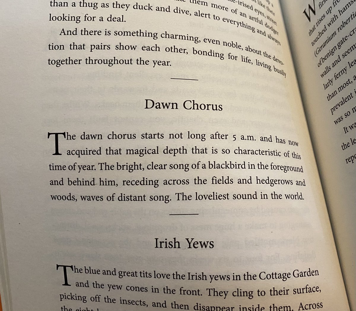 Feeling like #Spring this morning. One more sleep until #March. Looking forward to the #DawnChorus <a href="/TheMontyDon/">Monty Don</a> #MyGardenWorld